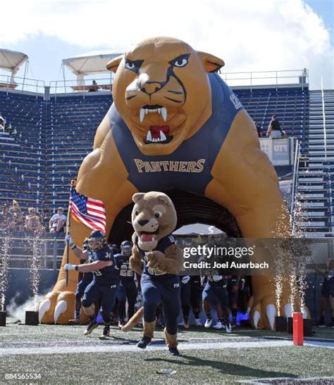 University Of Massachusetts Amherst Mascot Photos and Premium High Res ...