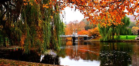 Things To Do In Boston In The Fall 2024 | Old Town Trolley