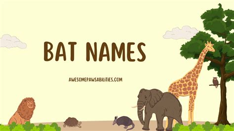 Bat Names Famous Funny Cute And Unique Ideas