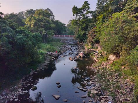 Puisi Tentang Sungai Ciliwung - IMAGESEE