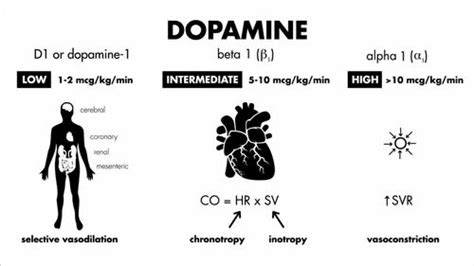 Dopamine Injection 200 Mg, 5ml at Rs 30/vial in Surat | ID: 2851204606162