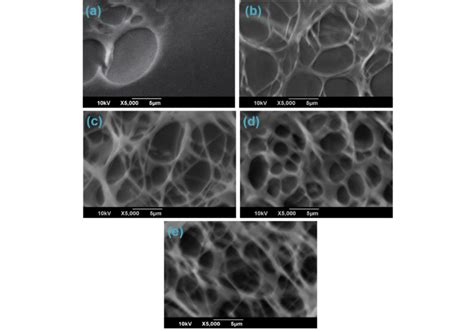 Sem Micrographs Of Cp Hydrogels A Cp B Cp I C Cp Ii D