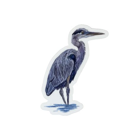 Blue Herring Bird Drawing