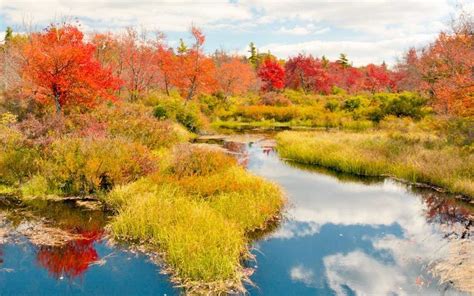 Best Places To See Fall Foliage In The United States Places To See