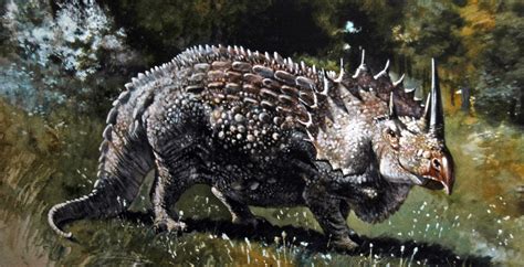 Fanciful Reconstruction Of Triceratops Ceratopsian Dinosa Flickr