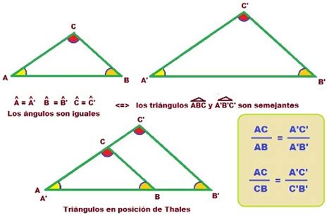 Semejanza De Tri Ngulos Geogebra 17856 | The Best Porn Website