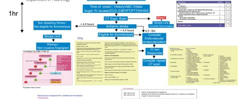 Stroke Algorithm Dr Bindu Menon Foundations