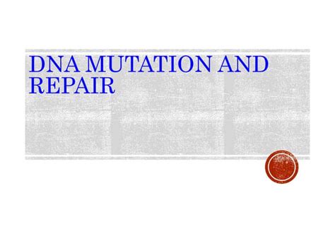 Mutation and repair .ppt