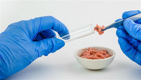 Carne Coltivata Pro E Contro