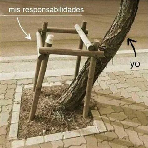 Top Memes De Arbol En Espa Ol Memedroid