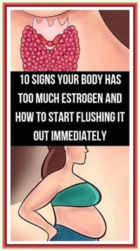 Signs Your Body Has Too Much Estrogen And How To Start Flushing It