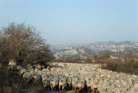 Succow Stiftung Georgien Biosphärenreservate als Modellregionen für