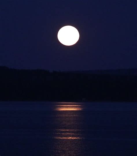 The Ocean under the Moonlight · Free Stock Photo