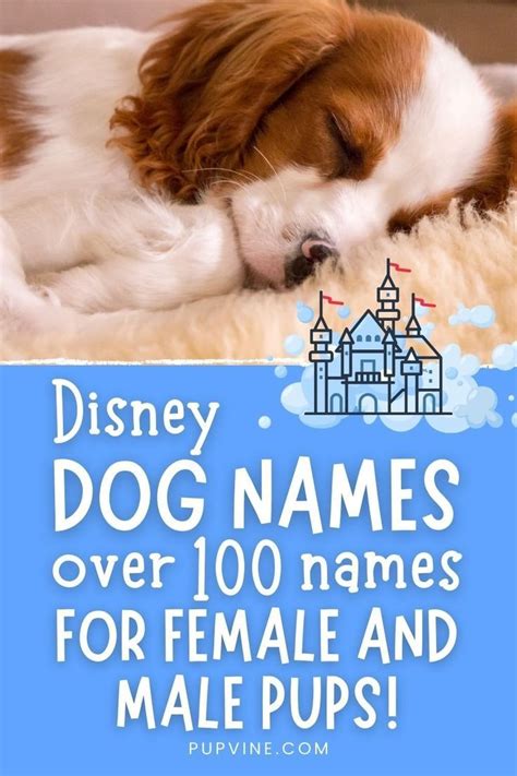 200+ Disney Boy Dog Names - My Pets Pride