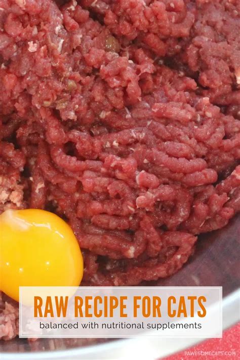 Raw Cat Food Recipe Artofit