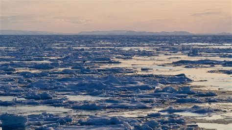 Why Rising Acidification Poses A Special Peril For Warming Arctic