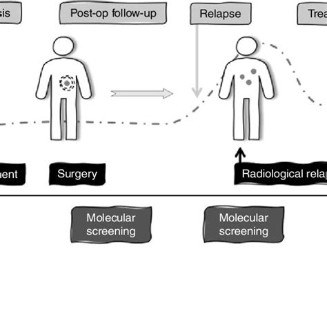 Ctdna Relevance In Resectable Pdac Download Scientific Diagram