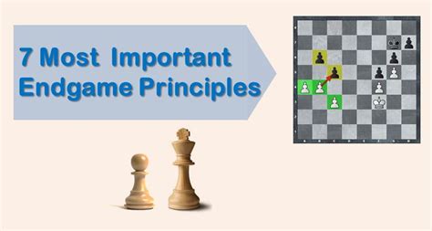 7 Most Important Endgame Principles Thechessworld