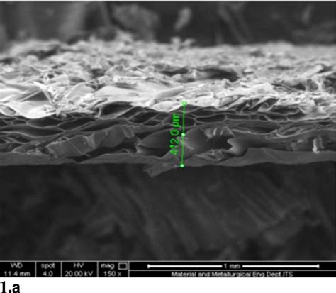 Figure From Biocomposite Collagen Chitosan Glycerol As Scaffold For