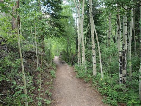 Hiking Trail in Rocky Mountain National Park, Colorado | Rocky mountain national park, Rocky ...