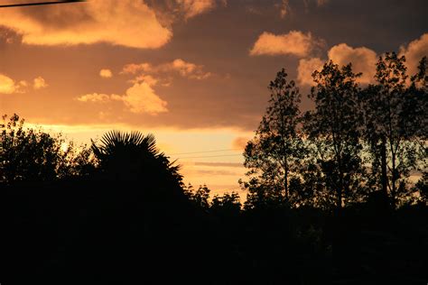 Free Images Tree Nature Cloud Sky Sun Sunrise Sunset Sunlight