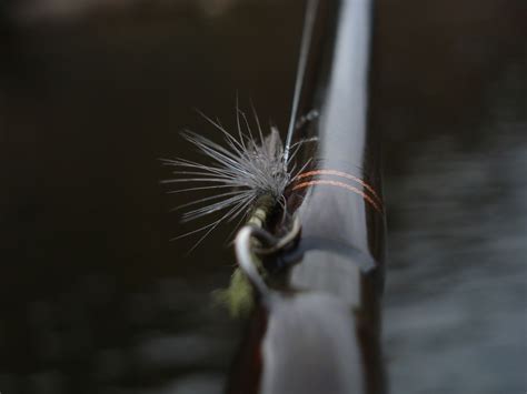 What Is Fly Fishing Tippet | Tippet Size Chart and Tips - The Wading Kit