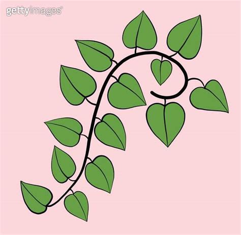 Simplicity Ivy Freehand Drawing Flat Design