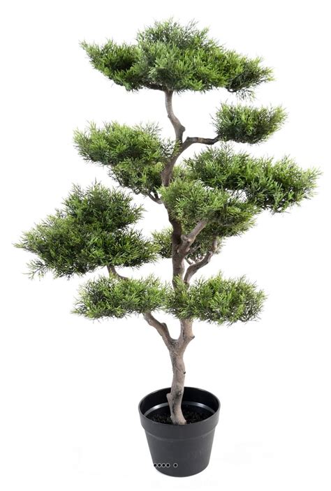 Bonsa Pinus Artificiel En Nuages H Cm Tronc Pe Superbe