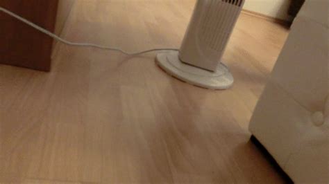 6th Session Going One Step Further Clip 5 Real B Amateur Trampling Clips4sale