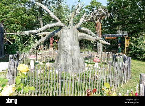 Teufelsmauer In Obscurum Thale Harz Stock Photo Alamy