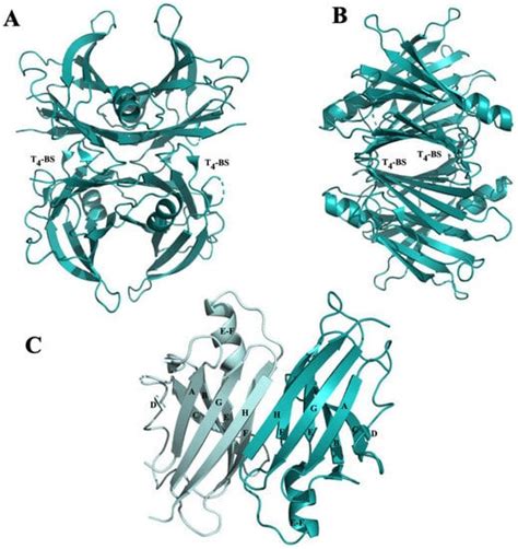 Molecules Free Full Text The Positive Side Of The Alzheimers