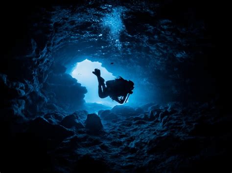 Dive Inside Water Royalty-Free Images, Stock Photos & Pictures ...
