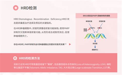 妇科肿瘤 鼎晶生物 让医疗更有效肿瘤基因检测