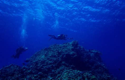 Great Blue Hole Disturbing Discovery Found At The Bottom By Divers