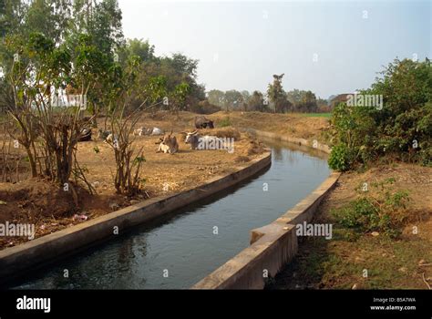 Irrigation canal Dhariyawad Rajasthan state India Asia Stock Photo - Alamy