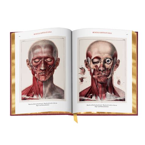 J M Bourgery S N H Jacob S The Complete Atlas Of Human Anatomy And