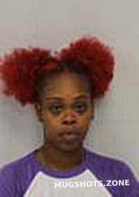 George Logan Nicole Davie County Mugshots Zone