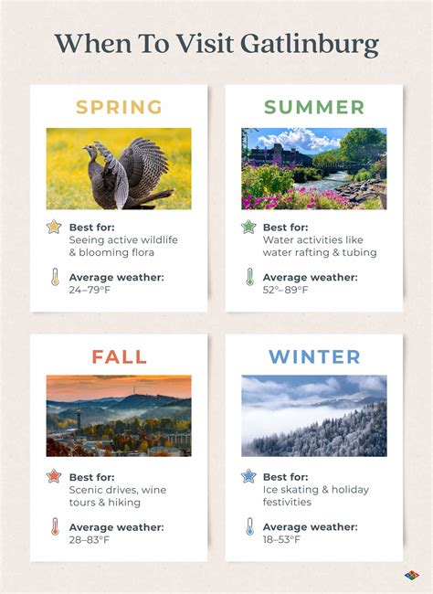 Gatlinburg Girls Trip: A Local’s Go-to Guide