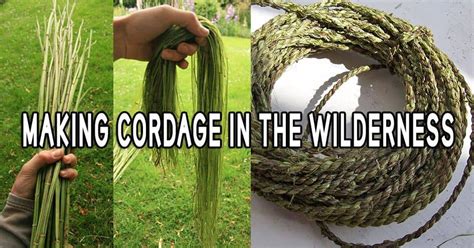 Making Cordage In The Wilderness Prepper S Will