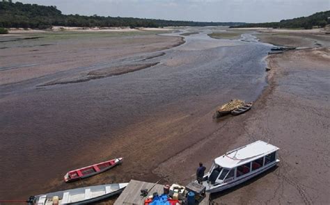 Kondisi Terkini Sungai Amazon yang Mengalami Kekeringan, Pertama ...