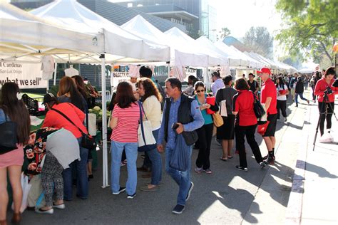 CSUN California State University Northridge - Raw Inspiration