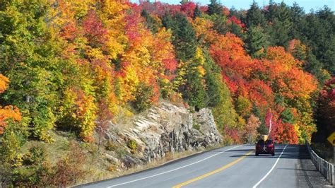 Fall Colors In Algonquin Park 2014