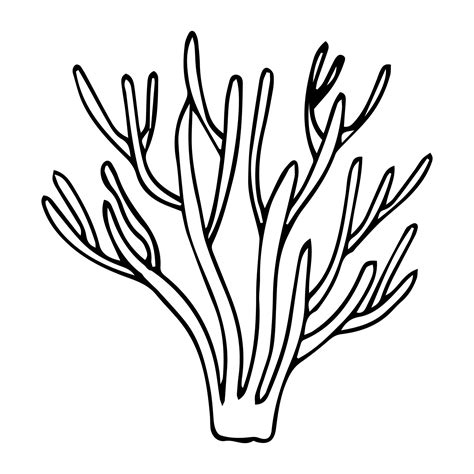 Coral Reef Black And White Clipart