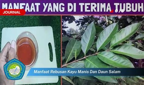 Kamu Wajib Tahu Inilah 10 Manfaat Rebusan Kayu Manis Dan Daun Salam