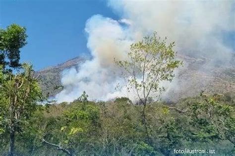 3 Hari Setelah Kebakaran Lahan Di Lereng Gunung Agung Bali Berdampak