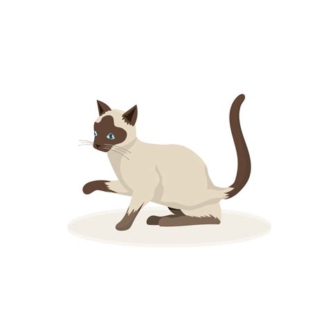 Free Siamese Cat Vector Template - Edit Online & Download | Template.net