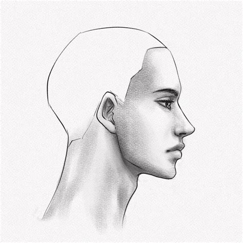 How To Draw Face (Profile) MAN Face Profile Drawing,, 45% OFF