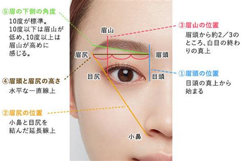 【眉毛の整え方＆描き方】カットの方法から描き方まで徹底解説！ 美容の情報 資生堂