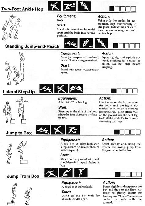 Pin By Half Horse Half Man On Plyometric Excersises Plyometrics