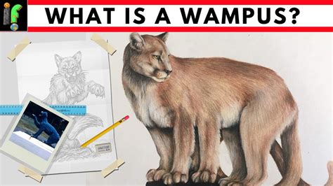 Cat Cryptids The Wampus Youtube